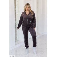 Прогулянковий костюм IP-1950