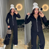 Прогулянковий костюм IP-2023