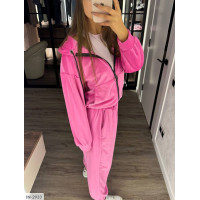 Спортивний костюм IN-2933