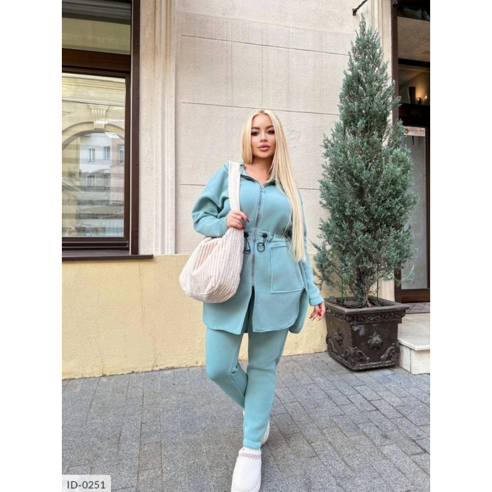 Купити Прогулянковий костюм ID-0251