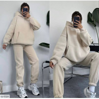 Прогулянковий костюм ID-9324