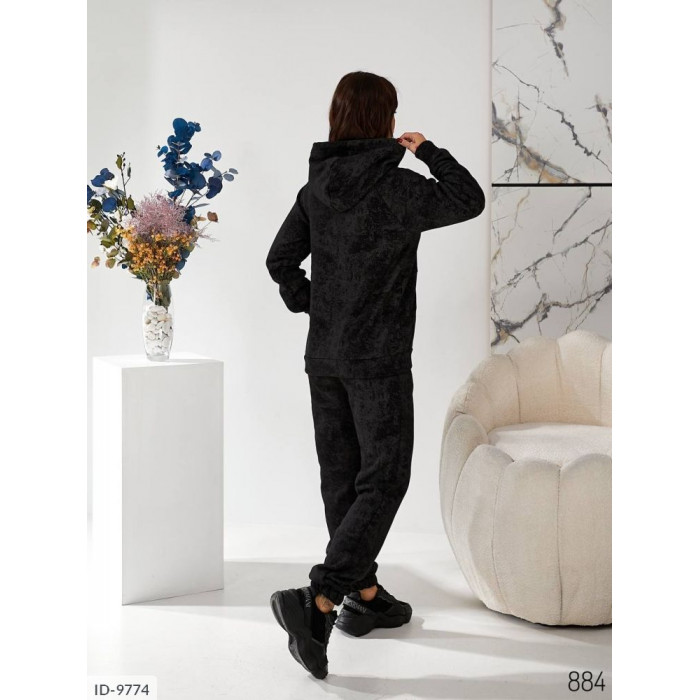Купити Прогулянковий костюм ID-9774