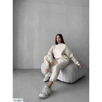 Прогулянковий костюм ID-9887