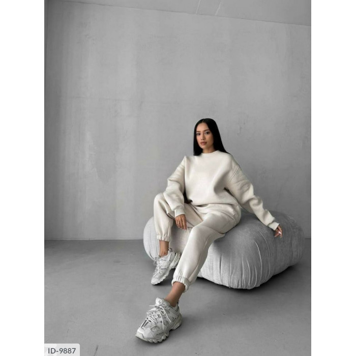 Купити Прогулянковий костюм ID-9887