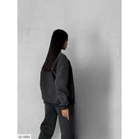 Прогулянковий костюм ID-9890