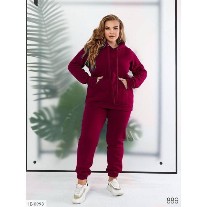 Купити Прогулянковий костюм IE-0993