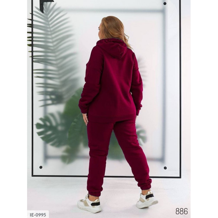 Купити Прогулянковий костюм IE-0995