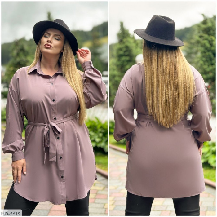 Модні сорочки і блузки великого розміру HO-5619 — елегантність і комфорт