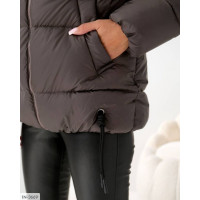Пуховик IN-3669