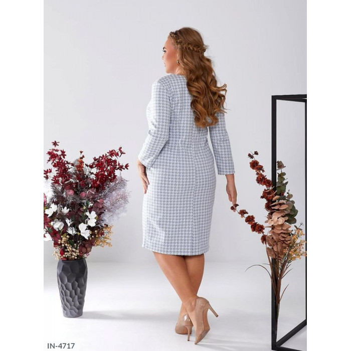 Модні образи для жінок великого розміру IN-4717
