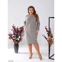 Сукня IN-4718