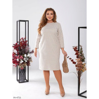 Сукня IN-4721