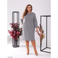 Сукня IN-4724
