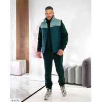 Чоловічий костюм IP-8254