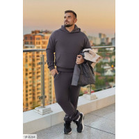 Чоловічий костюм IP-8264