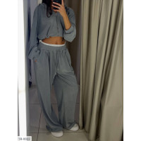 Прогулянковий костюм IR-0022