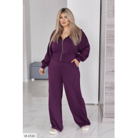 Прогулянковий костюм IR-0528