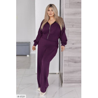 Прогулянковий костюм IR-0529