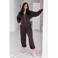 Прогулянковий костюм IR-0541