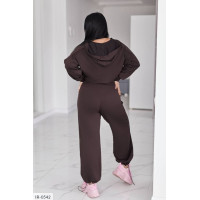 Прогулянковий костюм IR-0542