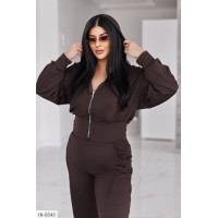 Прогулянковий костюм IR-0543