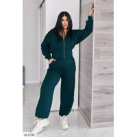 Прогулянковий костюм IR-0548