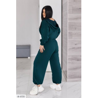 Прогулянковий костюм IR-0550