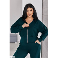 Прогулянковий костюм IR-0551