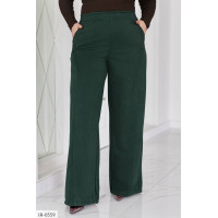 Штани IR-0559