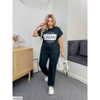 Прогулянковий костюм IR-0610