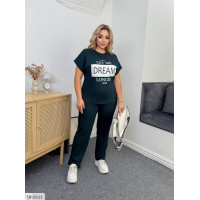 Прогулянковий костюм IR-0611