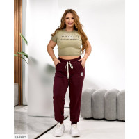 Штани IR-0865