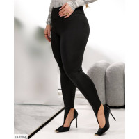 Лосини IR-0904