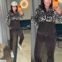 Спортивний костюм IR-1438