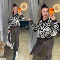 Прогулянковий костюм IR-1453