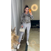 Прогулянковий костюм IR-1479