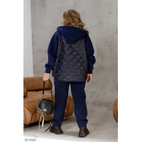 Прогулянковий костюм ID-9165