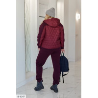 Прогулянковий костюм IE-0247