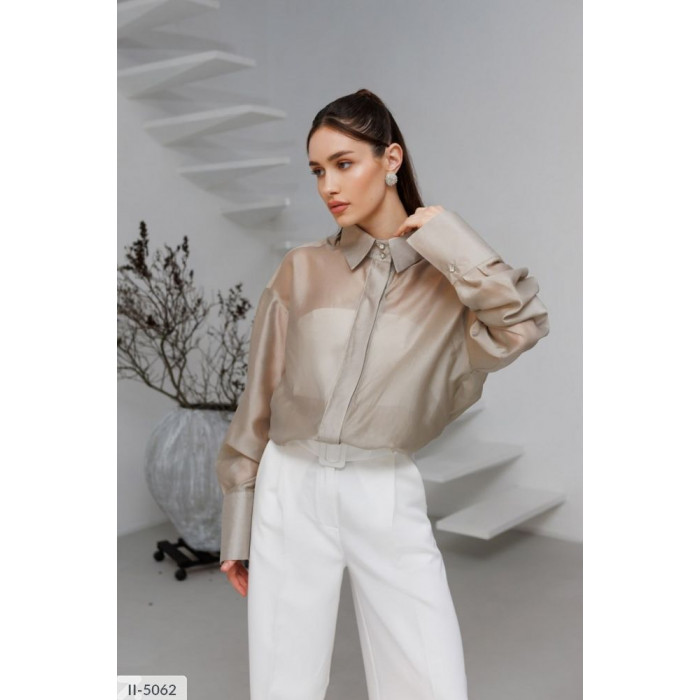 Модні образи II-5062 — сорочки для офісу і прогулянок