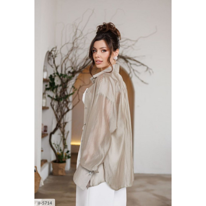 Модні образи II-5714 — сорочки для офісу і прогулянок