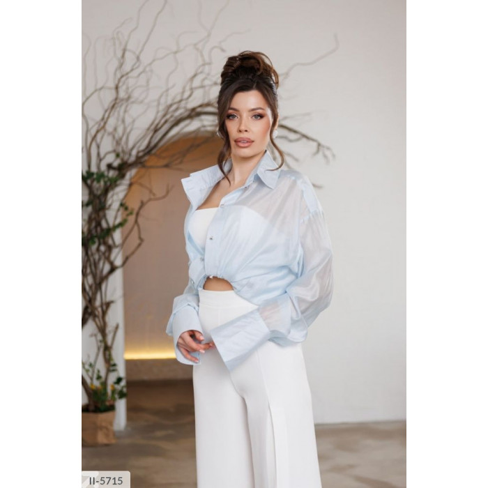 Жіночі блузки II-5715 — класика, що ніколи не виходить з моди