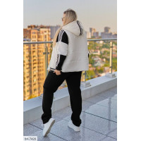 Прогулянковий костюм IM-7420