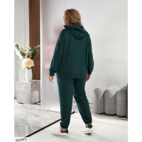 Прогулянковий костюм IM-7473