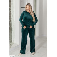 Прогулянковий костюм IN-4835