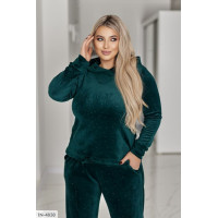 Прогулянковий костюм IN-4838