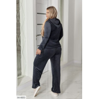 Прогулянковий костюм IN-4850