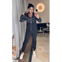 Спортивний костюм IN-5073