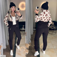 Спортивний костюм IN-5079