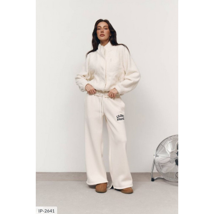 Класичні штани IP-2641 — елегантність на кожен день