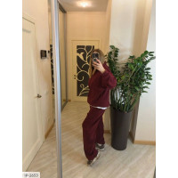 Прогулянковий костюм IP-2653